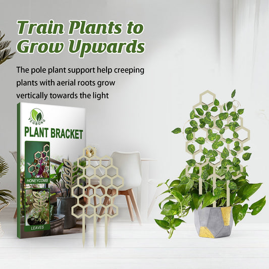 Garden Plant Trellis, Home Wooden Geometric Molding Decorative Support Flower Arrangements Climbing Pergola