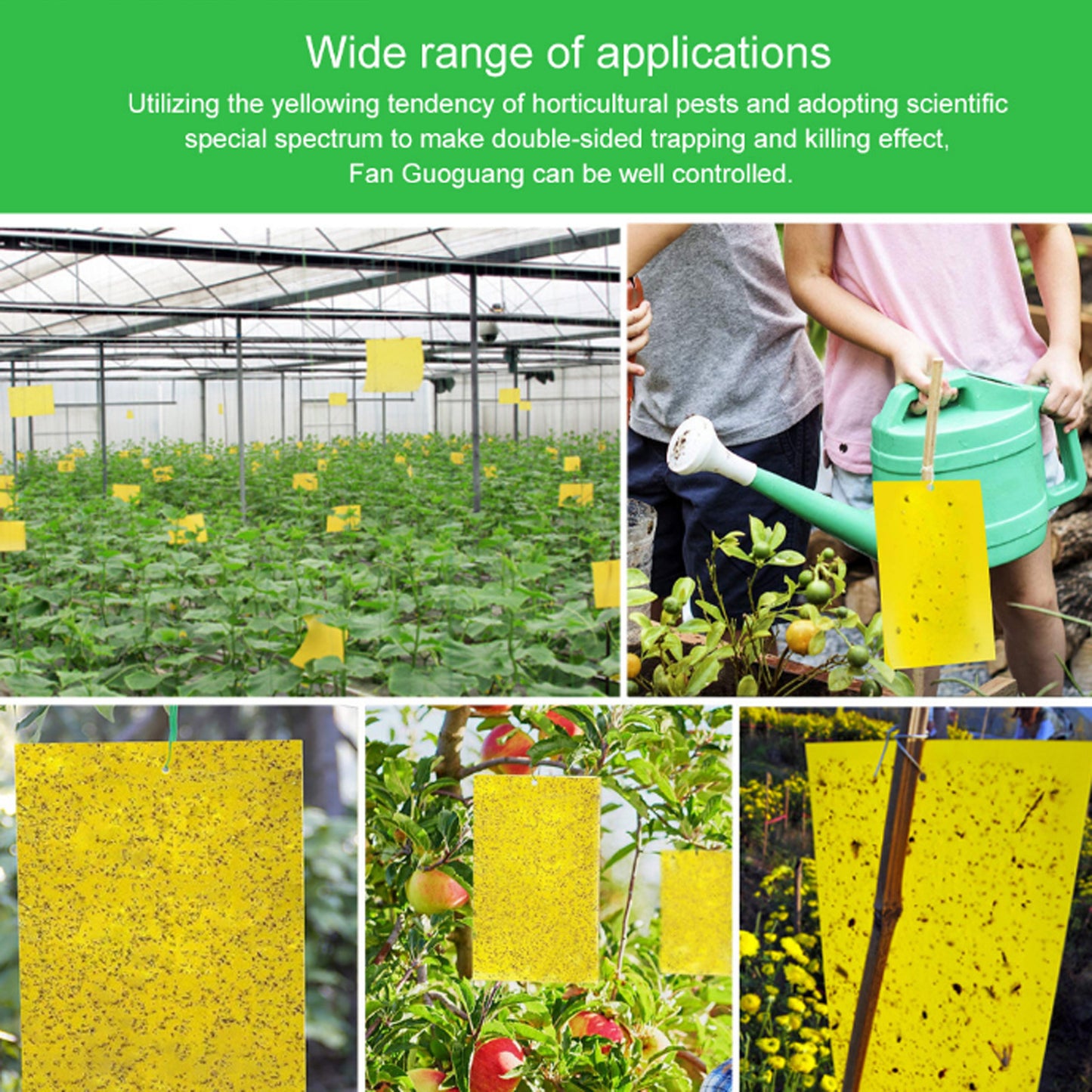 Board Double-Sided Armyworm Board, Blue Board Thrips Greenhouses Orchard Armyworm Killing Small Flies, Fruit Flies, Needle Bees Sticky Board And Insect Trap Board