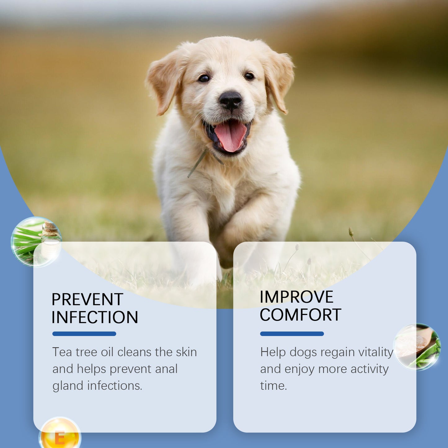 Dog Anal Gland Odor Removal Spray, Mild Ingredients Fresh Clean Odor Removal After Potting Care