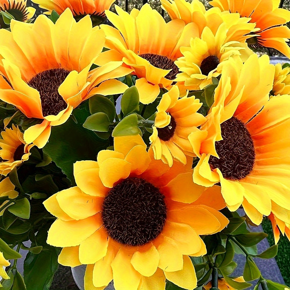 description_selected1