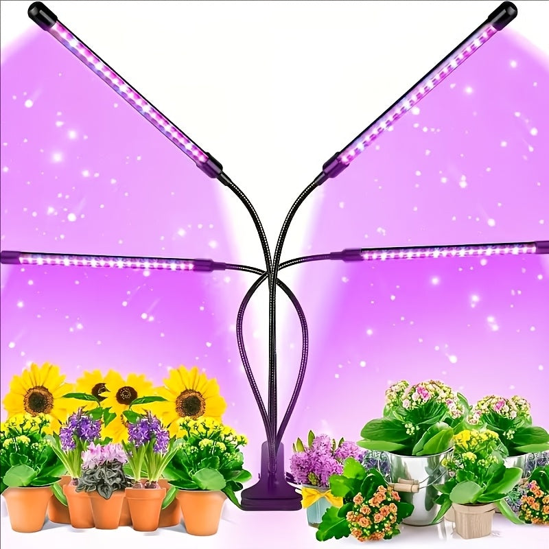 description_selected1