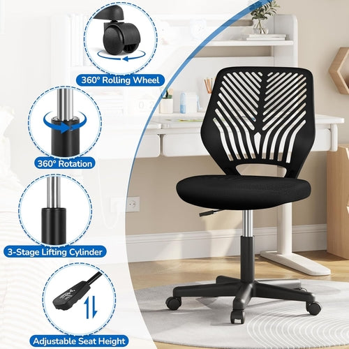 Students Cute Desk Chair Low-Back Armless Study Chair W/Lumbar Support