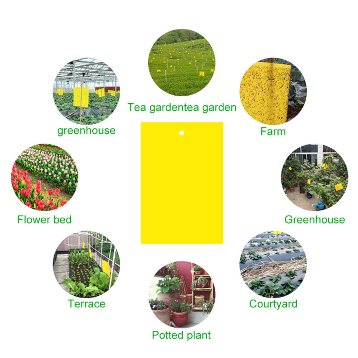 Board Double-Sided Armyworm Board, Blue Board Thrips Greenhouses Orchard Armyworm Killing Small Flies, Fruit Flies, Needle Bees Sticky Board And Insect Trap Board