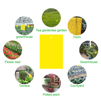 Board Double-Sided Armyworm Board, Blue Board Thrips Greenhouses Orchard Armyworm Killing Small Flies, Fruit Flies, Needle Bees Sticky Board And Insect Trap Board