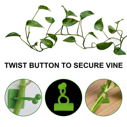 Yegbong Plant Climbing Wall Holder, Household Vine Plant Wall Climbing Self-adhesive Retainer