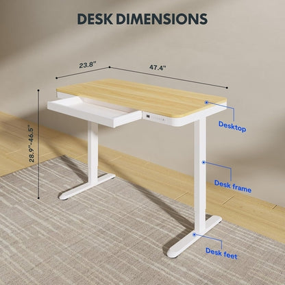 48 Inch Electric Standing Desk With USB Port And Drawers