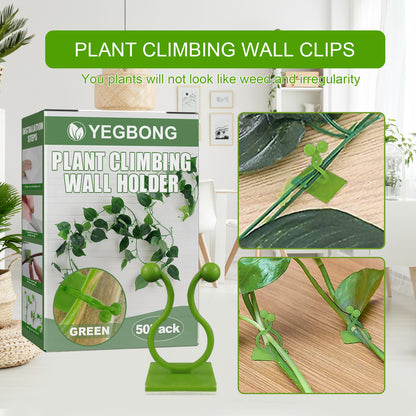 Yegbong Plant Climbing Wall Holder, Household Vine Plant Wall Climbing Self-adhesive Retainer