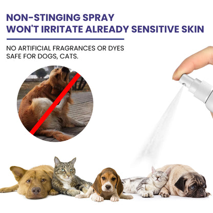 Yegbong Pet Anti-Itch Spray, Pet Universal Cleaning And Soothing Skin Fur For Anti-Mite Anti-Bug Anti-Itch Spray