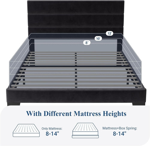 Black Velvet Queen Platform Bed Easy Assembly No Box Spring