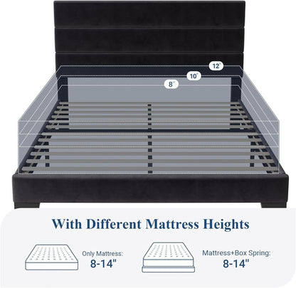 Black Velvet Queen Platform Bed Easy Assembly No Box Spring