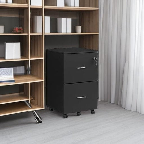 Two Drawer File Cabinet For Home Office A4 Size Black Honey Finish