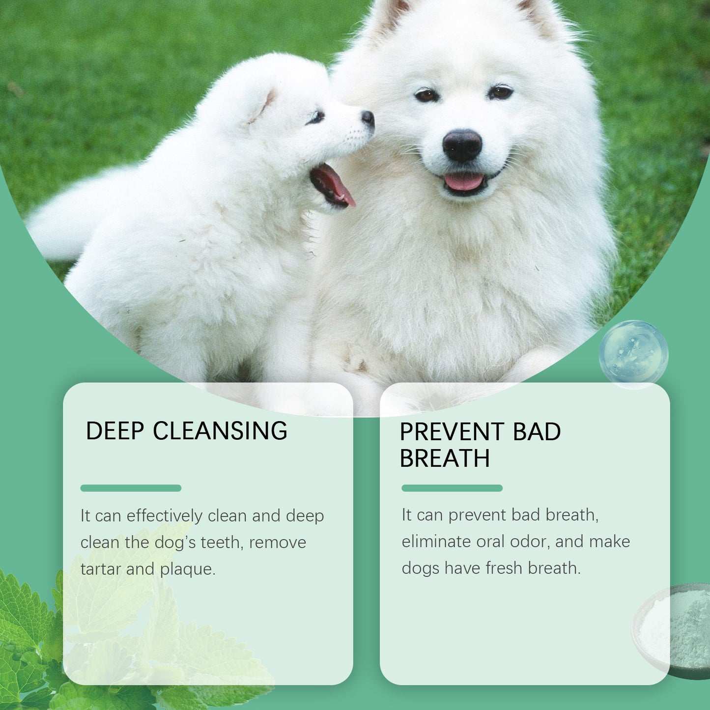 Yegbong Tooth Cleaning Powder For Dogs, A Gentle Formula To Freshen Breath And Protect Pet Oral Health Cleaning Powder