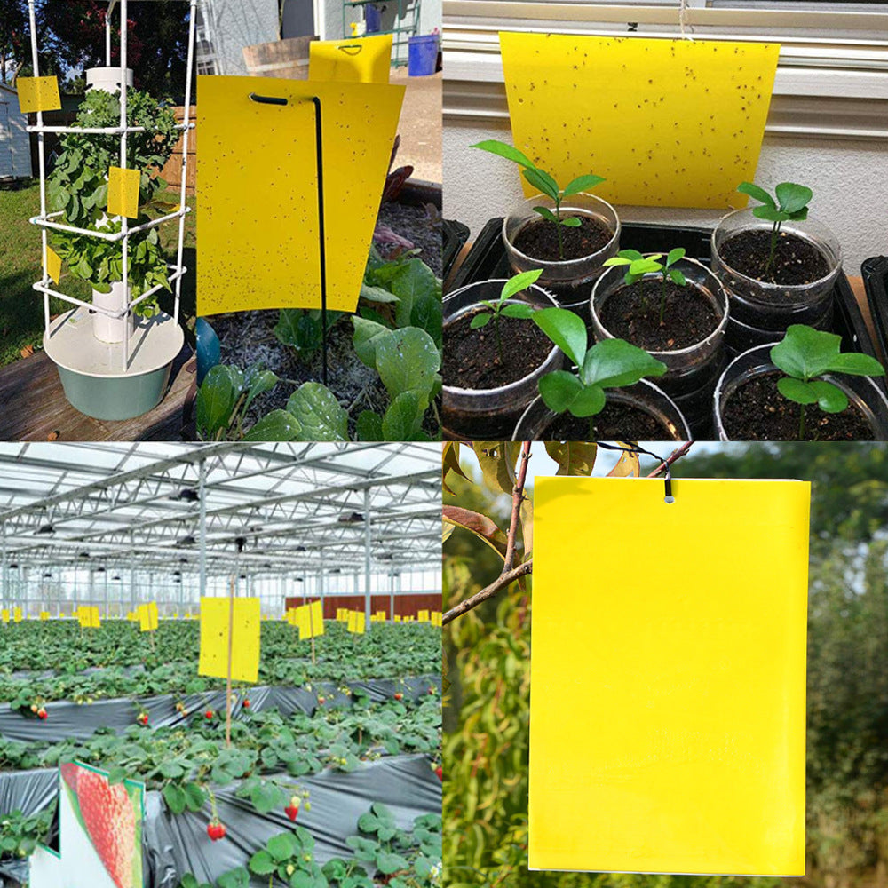 Board Double-Sided Armyworm Board, Blue Board Thrips Greenhouses Orchard Armyworm Killing Small Flies, Fruit Flies, Needle Bees Sticky Board And Insect Trap Board