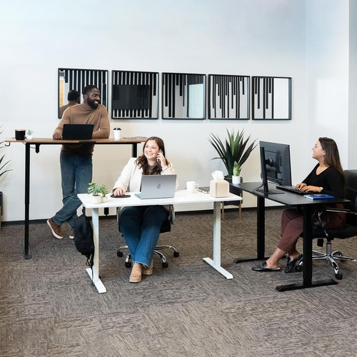47.2 Inches Electric Standing Desk Height Adjustable