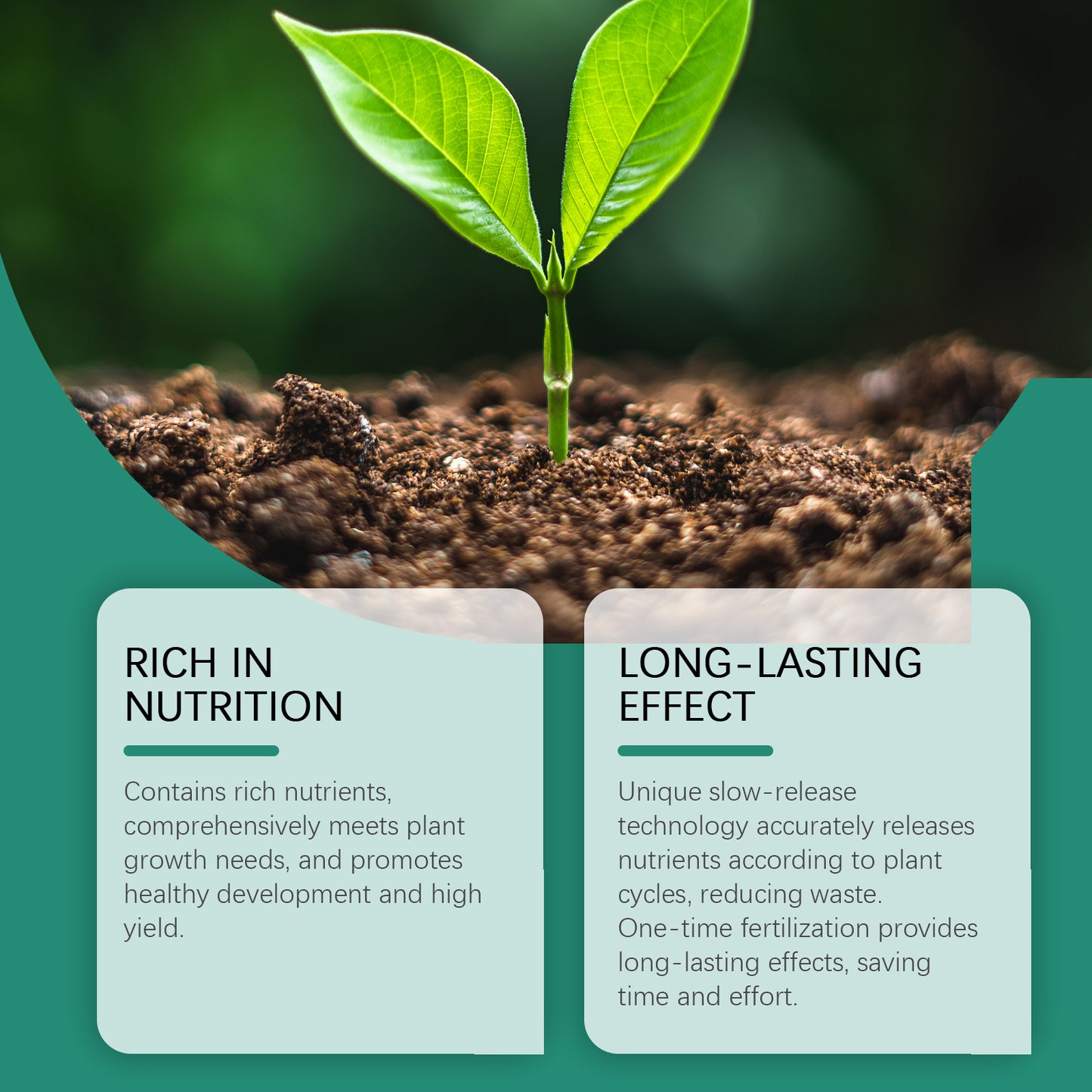 MoonSpry Plant Growth Fertilizer Stick Slow-Release Fertilizer Nutrient Seaweed Fertilizer Plant Growth Horticultural Fertilizer Stick
