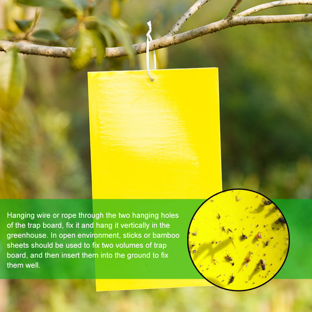 Board Double-Sided Armyworm Board, Blue Board Thrips Greenhouses Orchard Armyworm Killing Small Flies, Fruit Flies, Needle Bees Sticky Board And Insect Trap Board