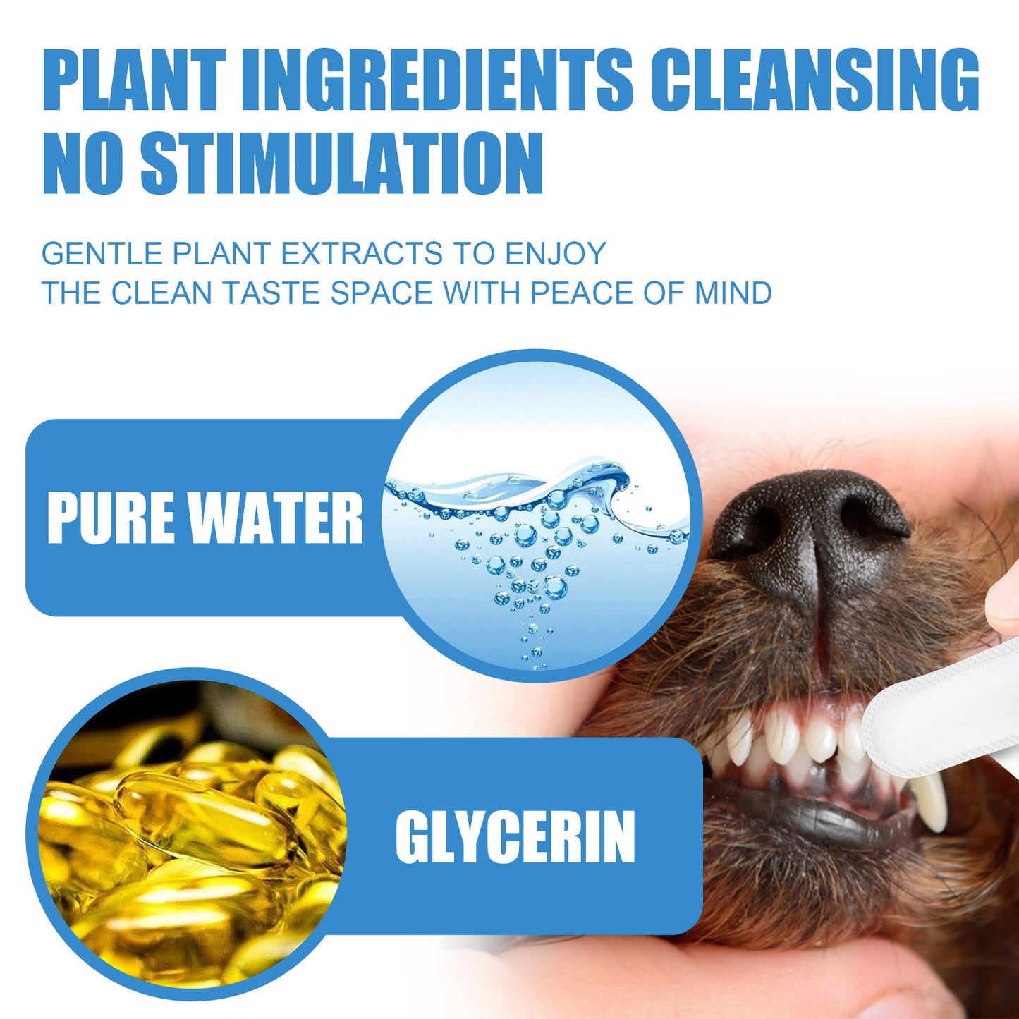 Pet Dental Finger Wipes, Bad Breath Tartar Teeth Yellow Dog Clean Mouth Care Finger Cover