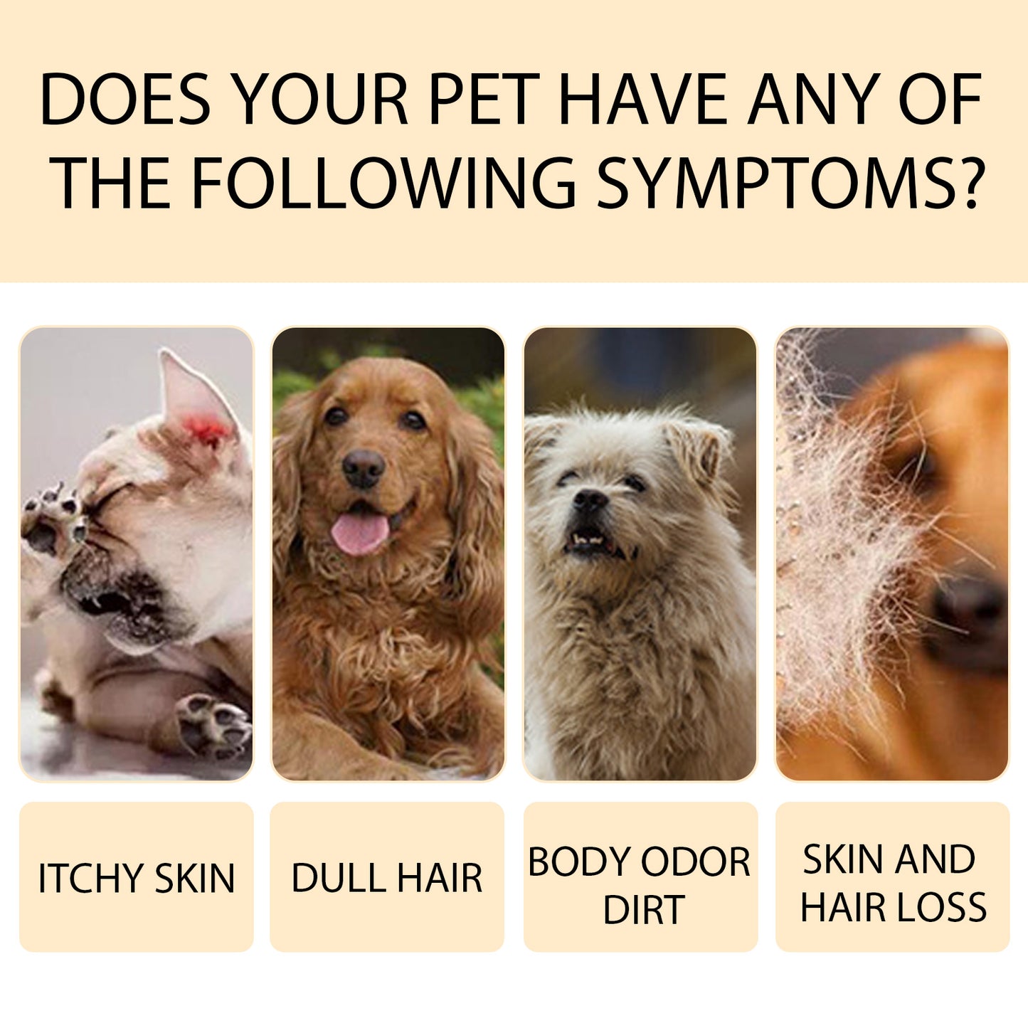 Yegbong Pet Shampoo (100g) Is A Gentle And Cleansing Shampoo That Makes The Fur Of Pet Cats And Dogs Smooth And Free Of Tangles