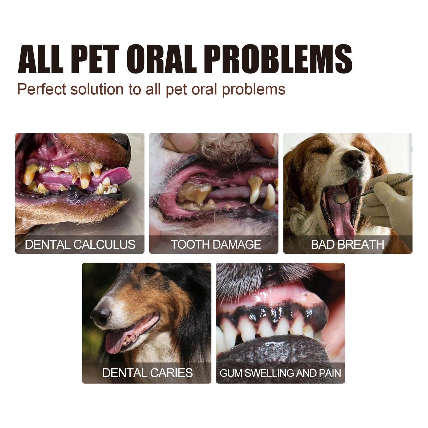 Yegbong Pet Tooth Cleaning Spray, Cats And Dogs Removal Tartar Stains Bad Breath Oral Cleaning Spray