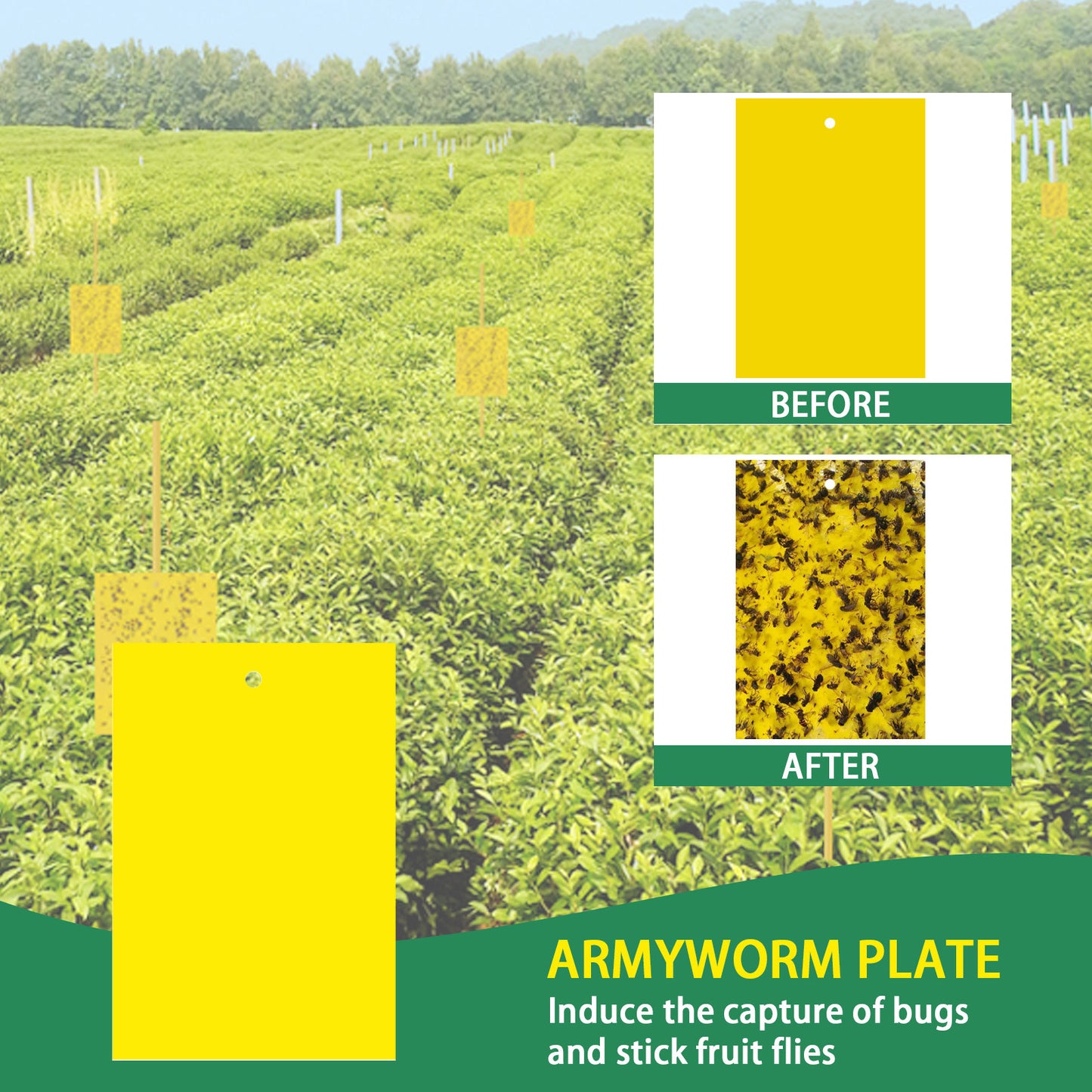 Board Double-Sided Armyworm Board, Blue Board Thrips Greenhouses Orchard Armyworm Killing Small Flies, Fruit Flies, Needle Bees Sticky Board And Insect Trap Board