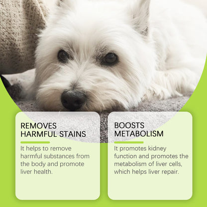 Dog Care Drops, A Comprehensive Healthy Dietary Supplement To Enhance Nutrition And Rejuvenate Dogs