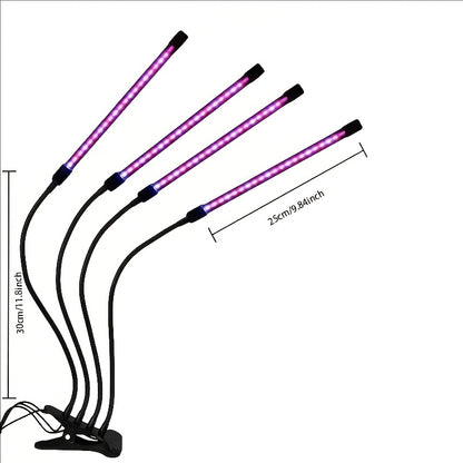 description_selected2