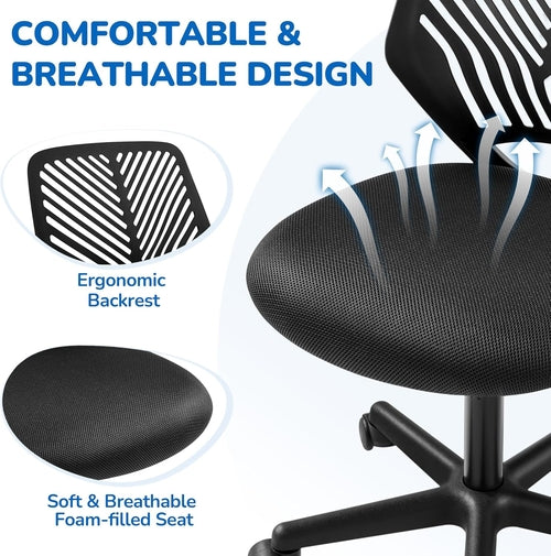 Students Cute Desk Chair Low-Back Armless Study Chair W/Lumbar Support