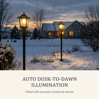 description_selected4