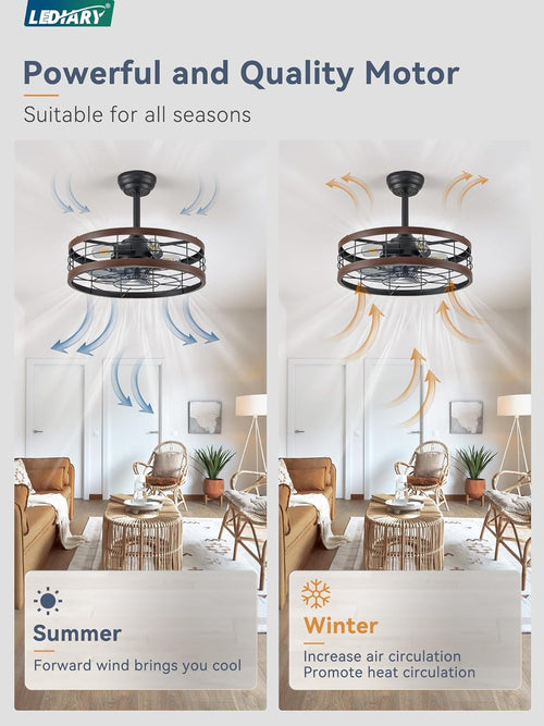 20 Inch Walnut Caged Fandelier Ceiling Fan With Light And Remote