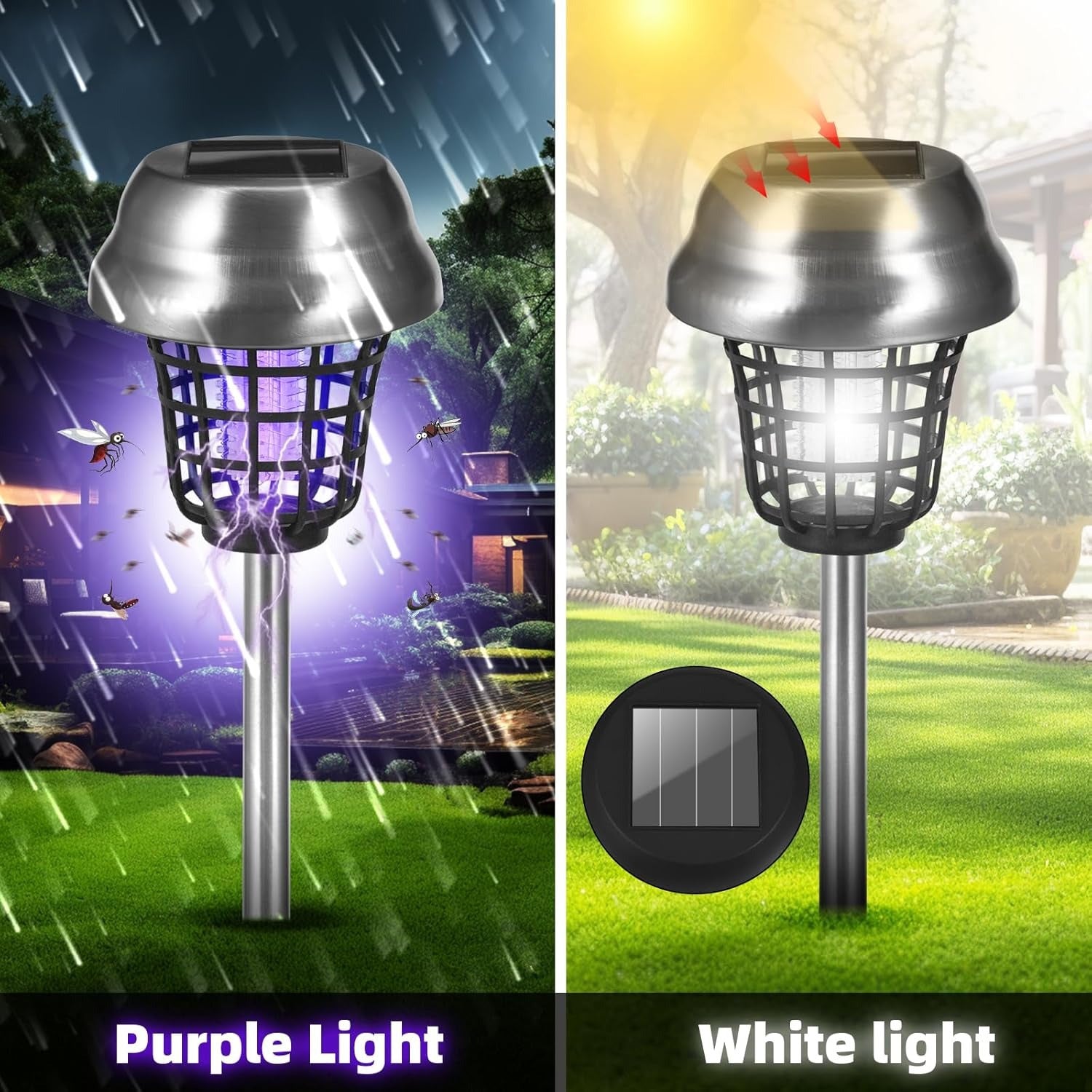 description_selected1