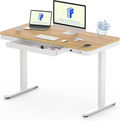 48 Inch Electric Standing Desk With USB Port And Drawers