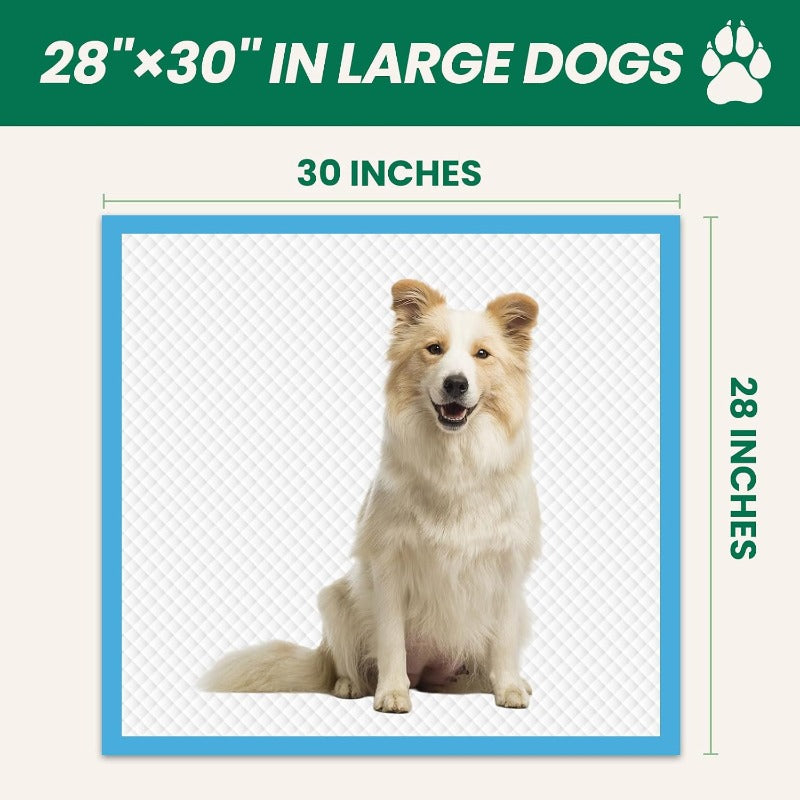 description_selected4